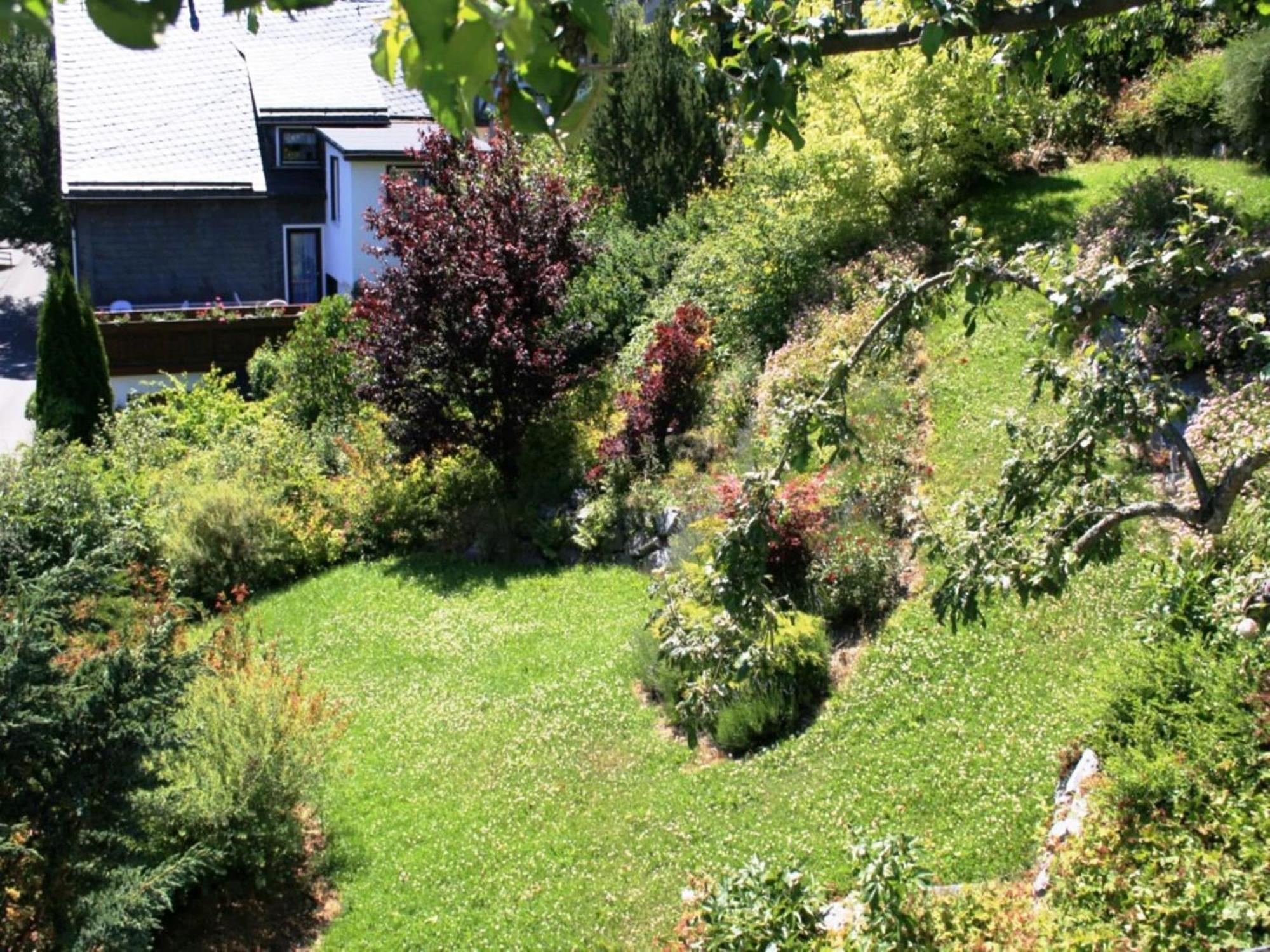 Cosy Apartment In Schwalefeld Near Willingen With Private Terrace エクステリア 写真
