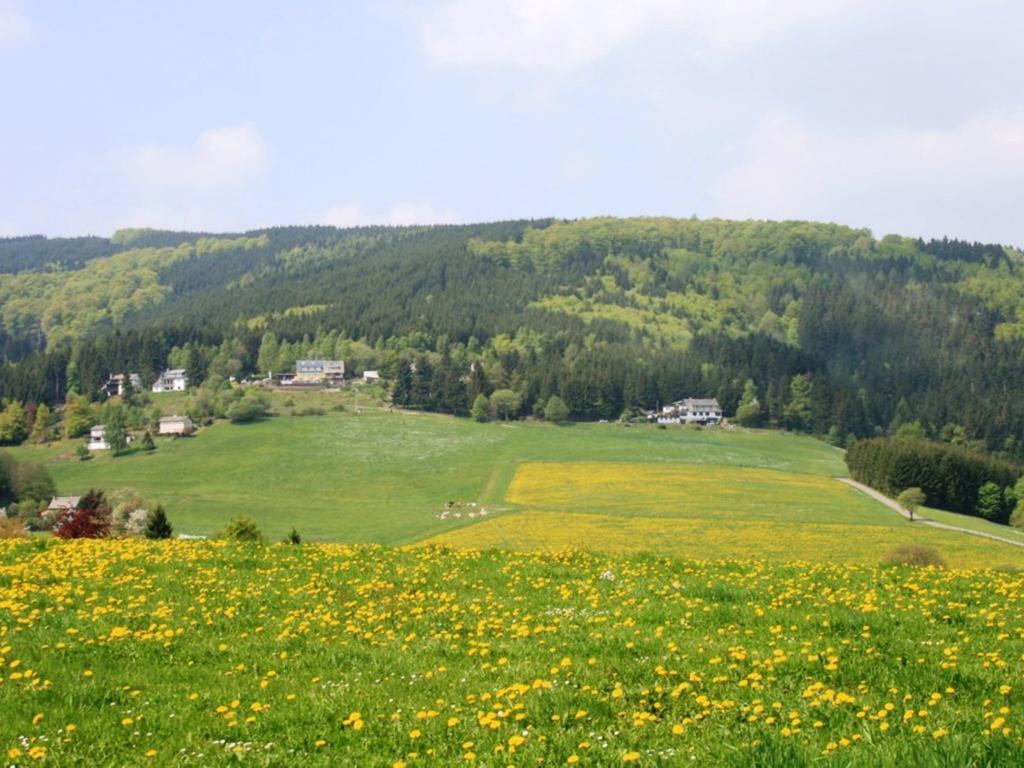 Cosy Apartment In Schwalefeld Near Willingen With Private Terrace エクステリア 写真